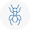 Ant Removals In South Lambeth