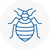 Bed Bug Extermination In South Lambeth