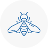 Bee Nest Removal South Lambeth