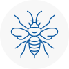 South Lambeth Hornet Nest Removals