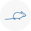 Mice Exterminators In South Lambeth