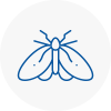 Moth Control Specialists In South Lambeth