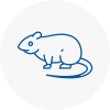 Rat Control South Lambeth