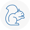 South Lambeth Rodent Removals